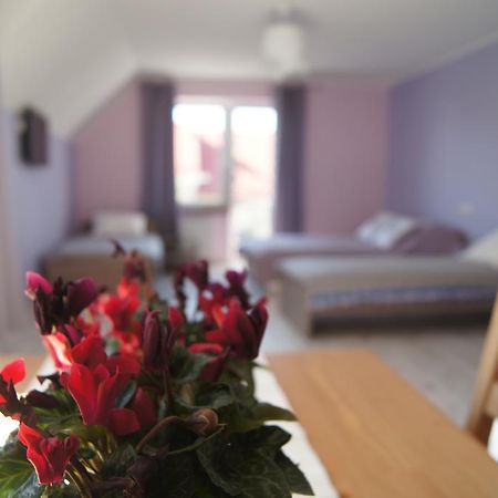 פרוז'ץ' גאנסקי Villa Terra מראה חיצוני תמונה