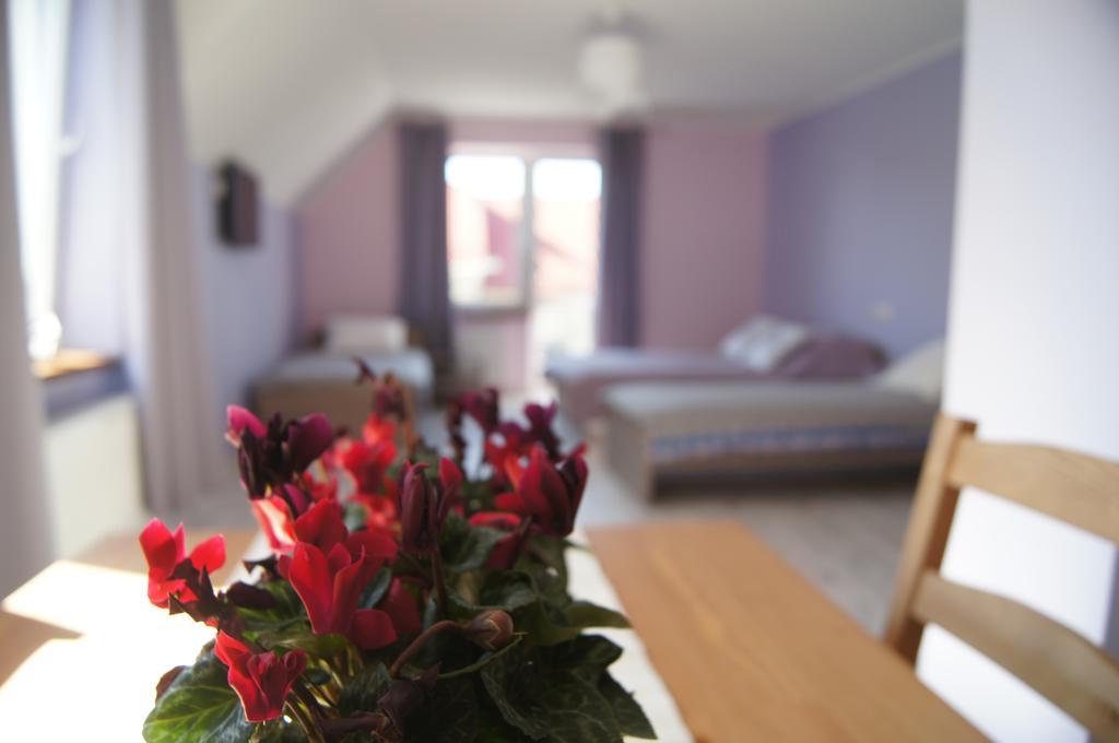 פרוז'ץ' גאנסקי Villa Terra מראה חיצוני תמונה